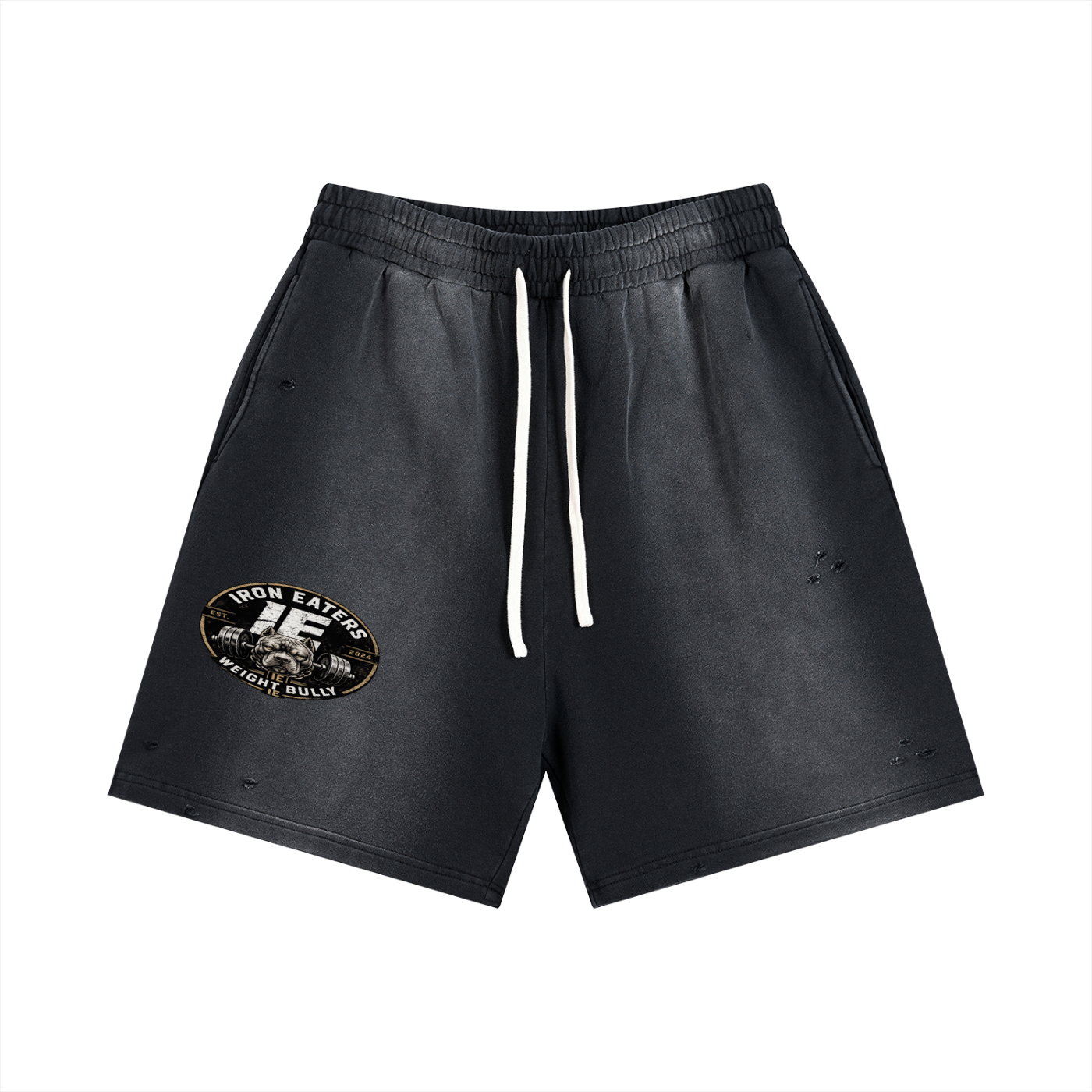 Sun Fade Distressed Shorts